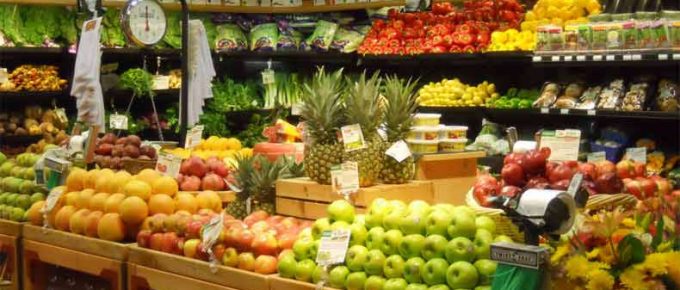 bisnis toko buah dan sayur organik