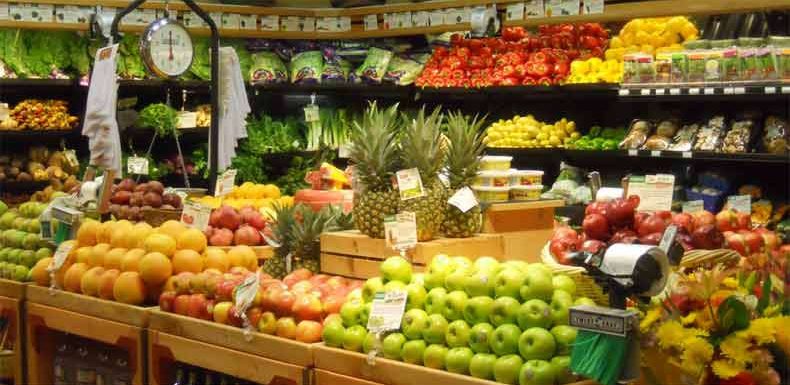 bisnis toko buah dan sayur organik